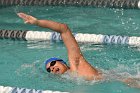 Swimming vs Babson  Wheaton College Swimming vs Babson College. - Photo By: KEITH NORDSTROM : Wheaton, Swimming, Babson